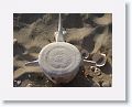 Day3-AM-LasAnimas - 002 * Whale vertebrae. * Whale vertebrae.
